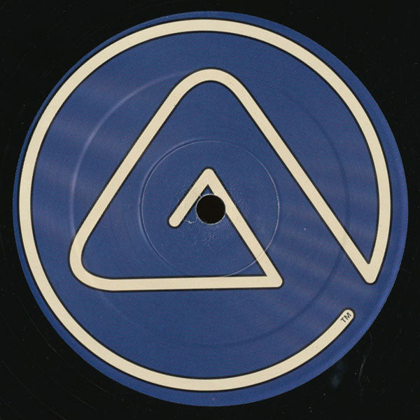 Whitney Houston : I Learned From The Best (HQ² Mixes) (12", Promo)