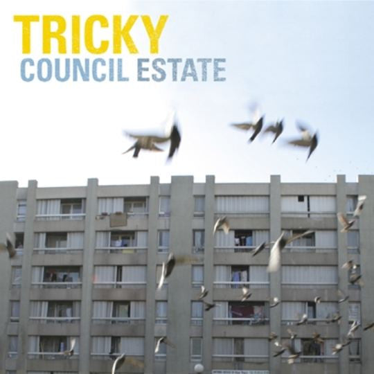 Tricky : Council Estate (12")