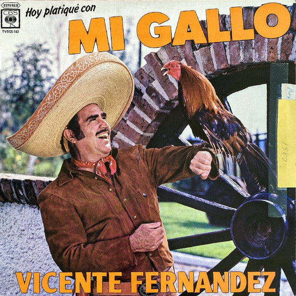 Vicente Fernández* : Hoy Platiqué Con Mi Gallo (LP, Album)