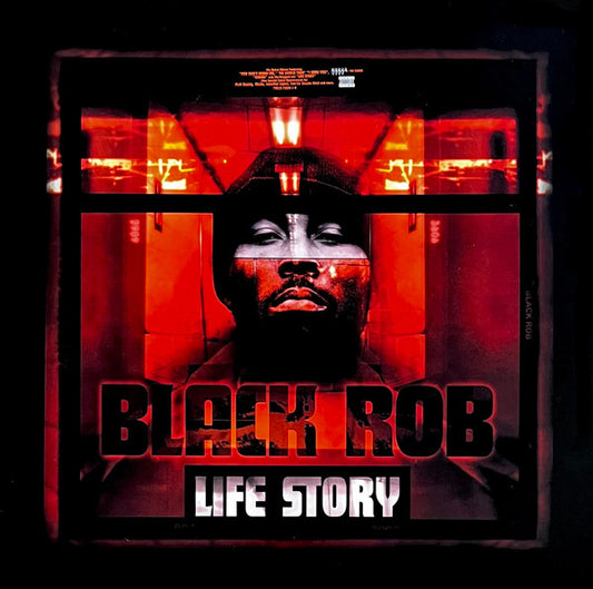 Black Rob : Life Story (2xLP, Album)