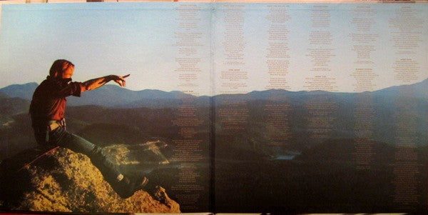 Stephen Stills : Stephen Stills 2 (LP, Album, Mon)