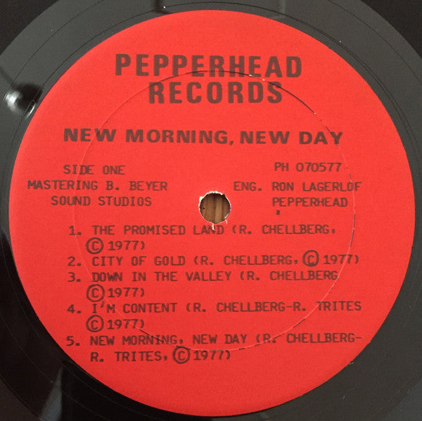 New Morning, New Day : New Morning, New Day (LP, Album)