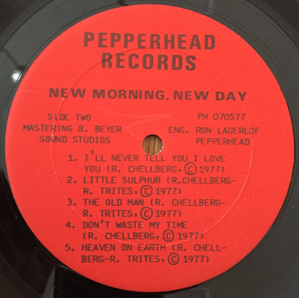 New Morning, New Day : New Morning, New Day (LP, Album)