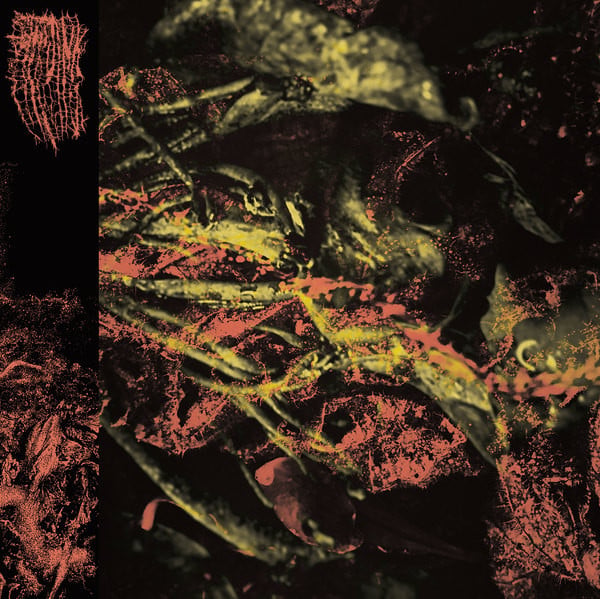 Hissing : Permanent Destitution (LP, Album, Ltd, Cle)
