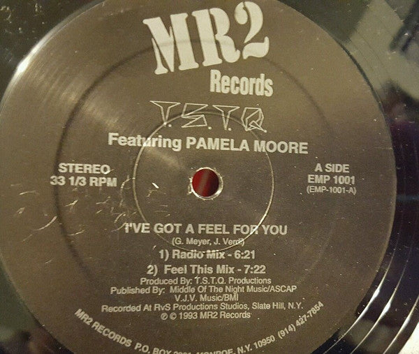 T.S.T.Q Featuring Pamela Moore (4) : I've Got A Feel For You (12")