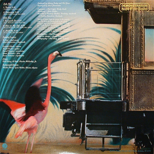 Paradise Express : Paradise Express (LP, Album)