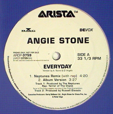 Angie Stone : Everyday (12", Promo)