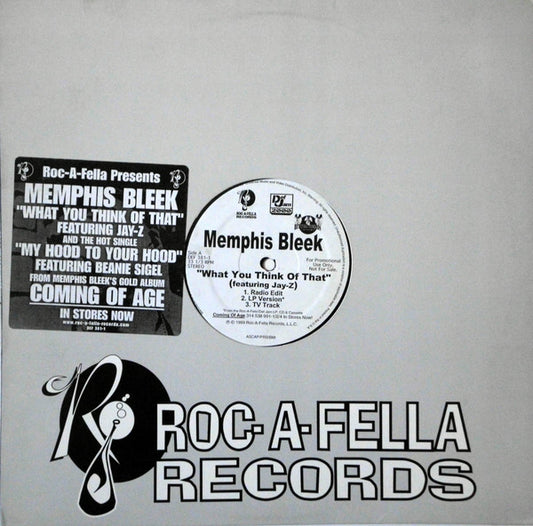 Memphis Bleek : What You Think Of That (12", Promo)
