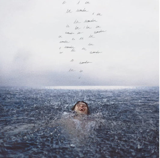 Shawn Mendes : Wonder (LP, Album)
