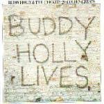 Buddy Holly & The Crickets (2) : 20 Golden Greats (LP, Comp, RE)