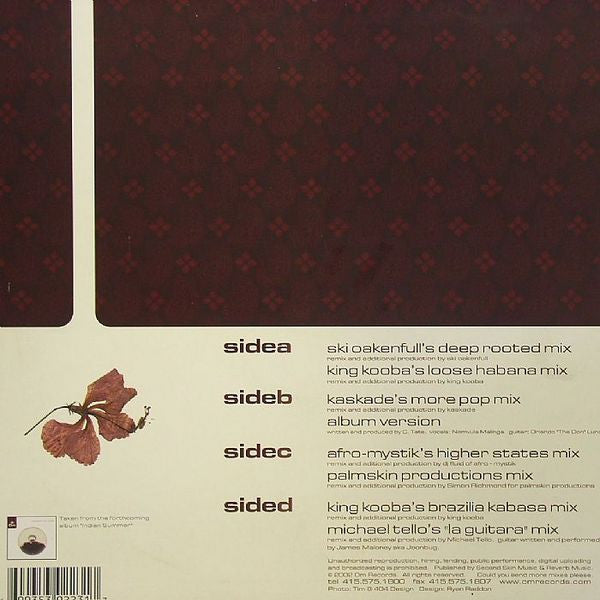 King Kooba : If I Could (2x12")