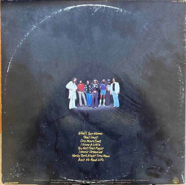 Lynyrd Skynyrd : Street Survivors (LP, Album, Pin)