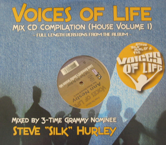 Ann Nesby Feat. Ricky Dillard & Ricky Dillard's New Generation Chorale : Let Your Will Be Done (2x12")