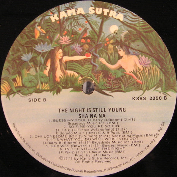 Sha Na Na : The Night Is Still Young (LP, Album)