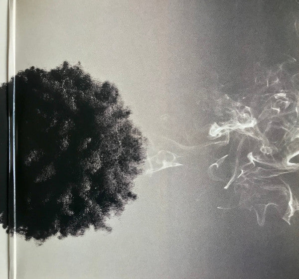 Brent Faiyaz : Wasteland (2xLP, Album)