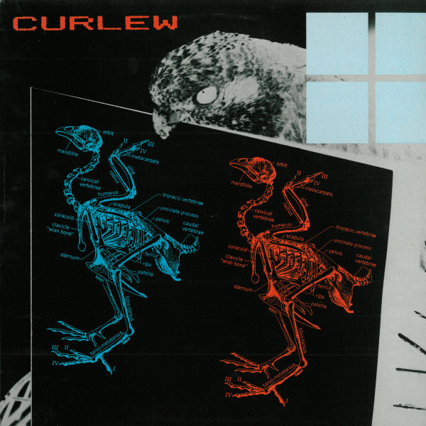 Curlew : Curlew (LP, Album, RP)