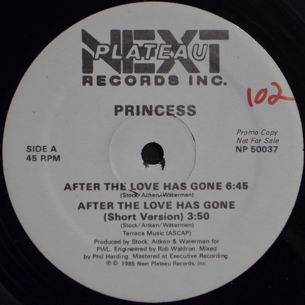 Princess : After The Love Has Gone (12", Promo)