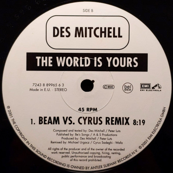 Des Mitchell : The World Is Yours (12")