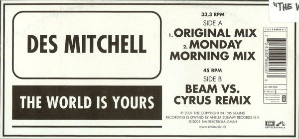 Des Mitchell : The World Is Yours (12")