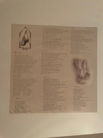 Lucy Dacus : Forever Is A Feeling (LP, Album, Gra)