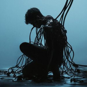 Anyma (5) : The End of Genesys (2xLP, Album, Por)
