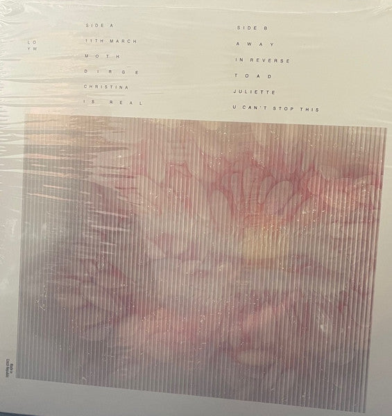 Look Outside Your Window : Look Outside Your Window (LP, Album, Eco)