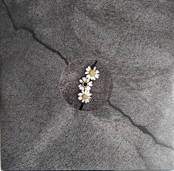 Ariana Grande : Petal (LP, Album, Tra)