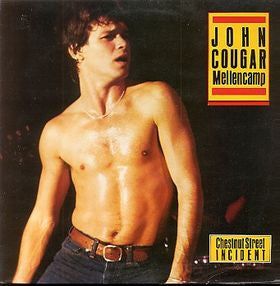 John Cougar Mellencamp : Chestnut Street Incident (LP, Album)