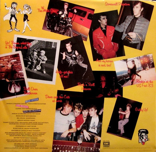 Stray Cats : Rant N' Rave With The Stray Cats (LP, Album, Une)