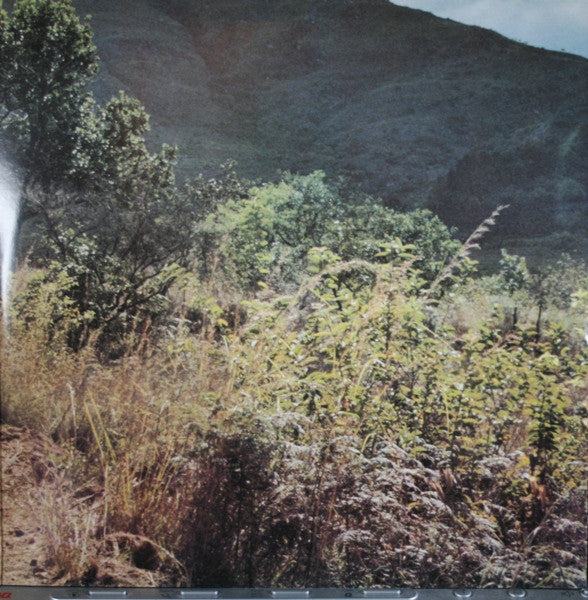Eric Clapton : Journeyman (LP, Album, Club)