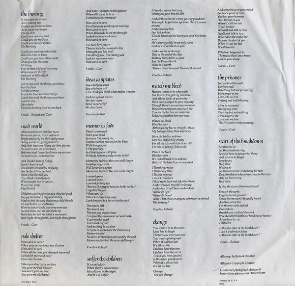 Tears For Fears : The Hurting (LP, Album, Hau)