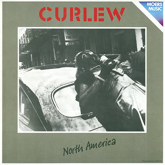 Curlew : North America (LP, Album)
