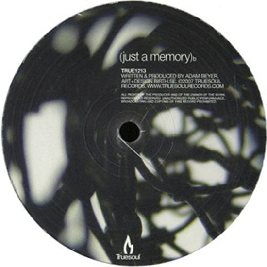 Adam Beyer : Relapse (12")