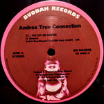 Andrea True Connection : N.Y., You Got Me Dancing / Fill Me Up (Heart To Heart) (12")