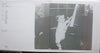 Shaun Cassidy : Born Late (LP, Album, Win)