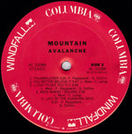 Mountain : Avalanche (LP, Album, Ter)
