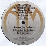 The Ozark Mountain Daredevils : It'll Shine When It Shines (LP, Album, Ter)