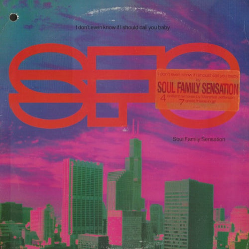 Soul Family Sensation : I Don't Even Know If I Should Call You Baby (12")