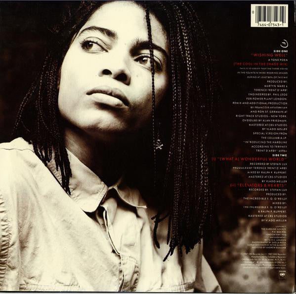 Terence Trent D'Arby : Wishing Well (The Cool In The Shade Mix) (12")
