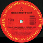 Terence Trent D'Arby : Wishing Well (The Cool In The Shade Mix) (12")