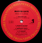 Marvin Gaye : Dream Of A Lifetime (LP, Album)