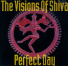 The Visions Of Shiva : Perfect Day (12")