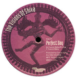 The Visions Of Shiva : Perfect Day (12")