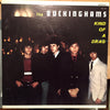 The Buckinghams : Kind Of A Drag (LP, Album, Mono, Pit)